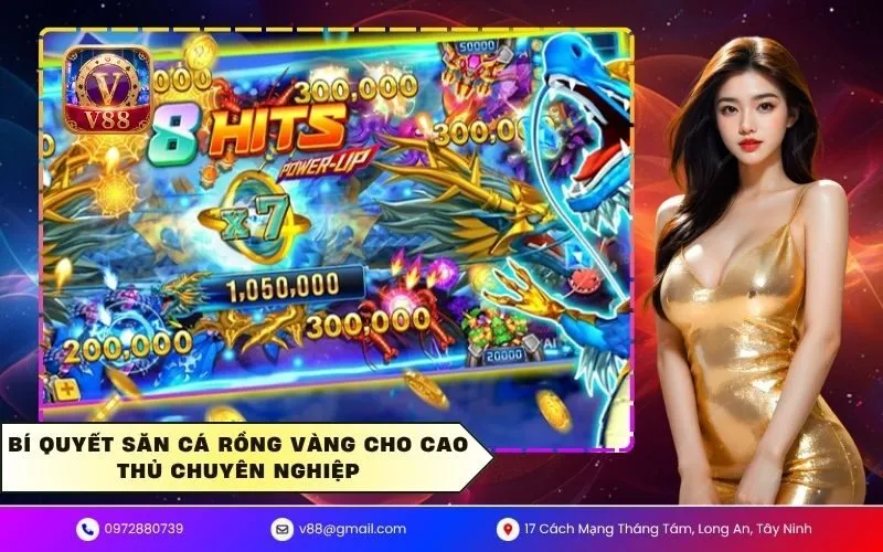 Bí quyết săn cá rồng vàng cho cao thủ